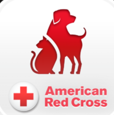 Red Cross pet first aid and CPR certification